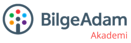 Bilge Adam Akademi